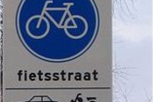 Wethouder zegt na vragen PvdA toe situatie fietsstraat Delftsestraatweg te bekijken