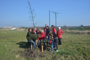 Nationale Boomfeestdag: PvdA kiest voor bomen!